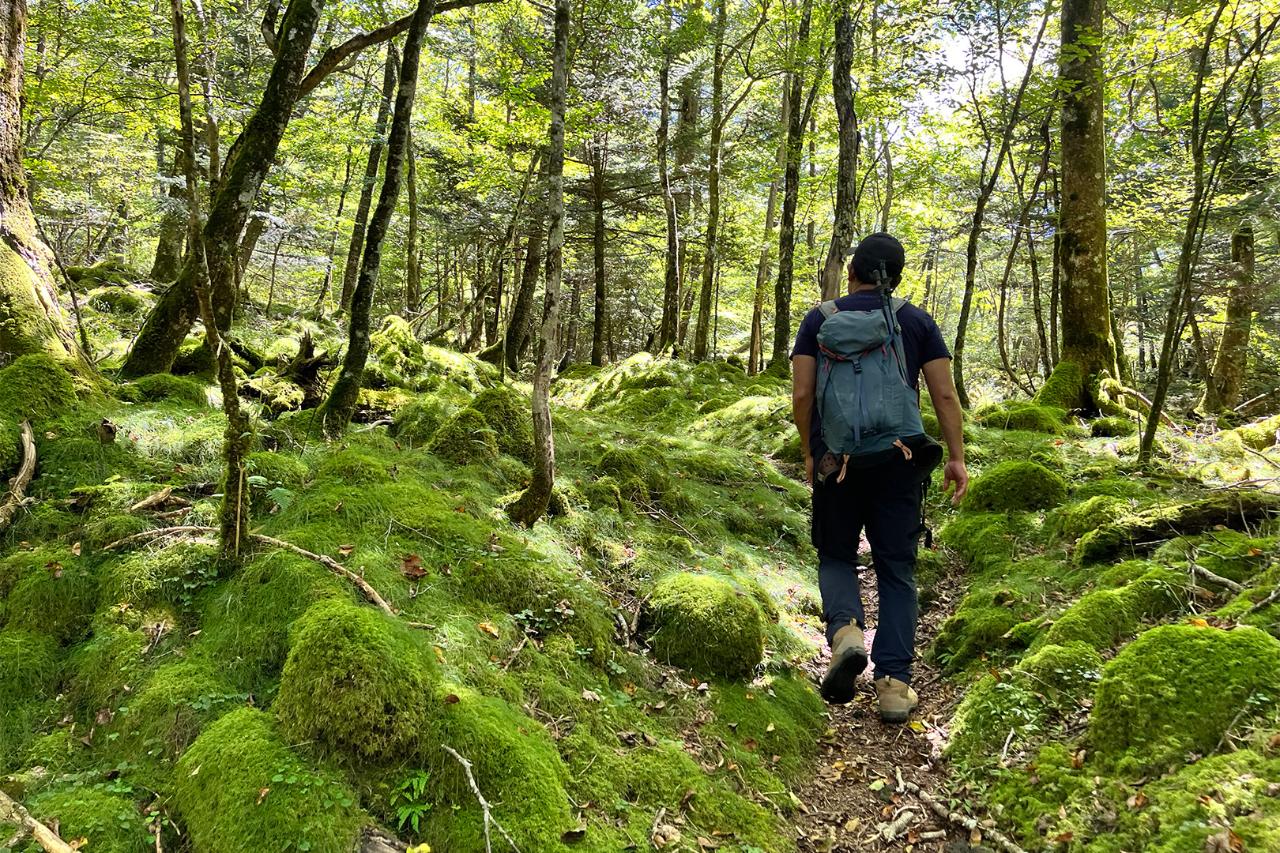 NISHIUSUZUKA & MURAYAMA KODO HIKE | 西臼塚＆村山古道ハイク