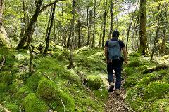 NISHIUSUZUKA & MURAYAMA KODO HIKE | 西臼塚＆村山古道ハイク