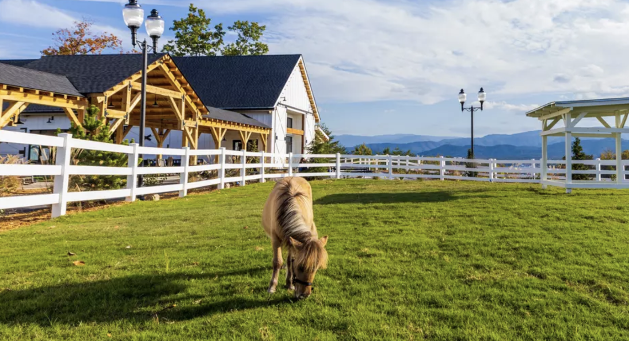 Snow Tubing + SkyLand Ranch General Admission