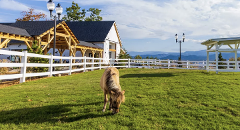 Snow Tubing + SkyLand Ranch General Admission