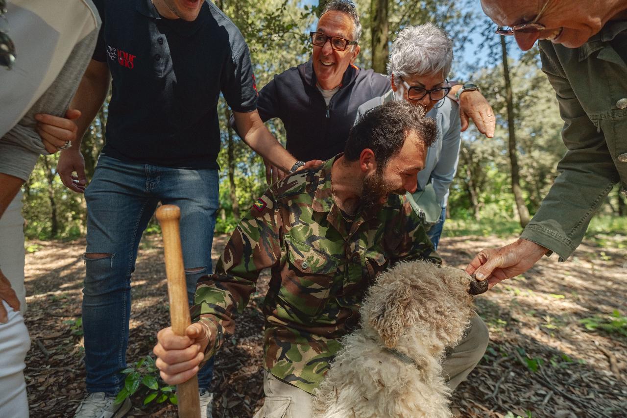 Your Vino: Truffle hunting & Wine tour with San Gimignano visit — Chianti Classico - Photo 2
