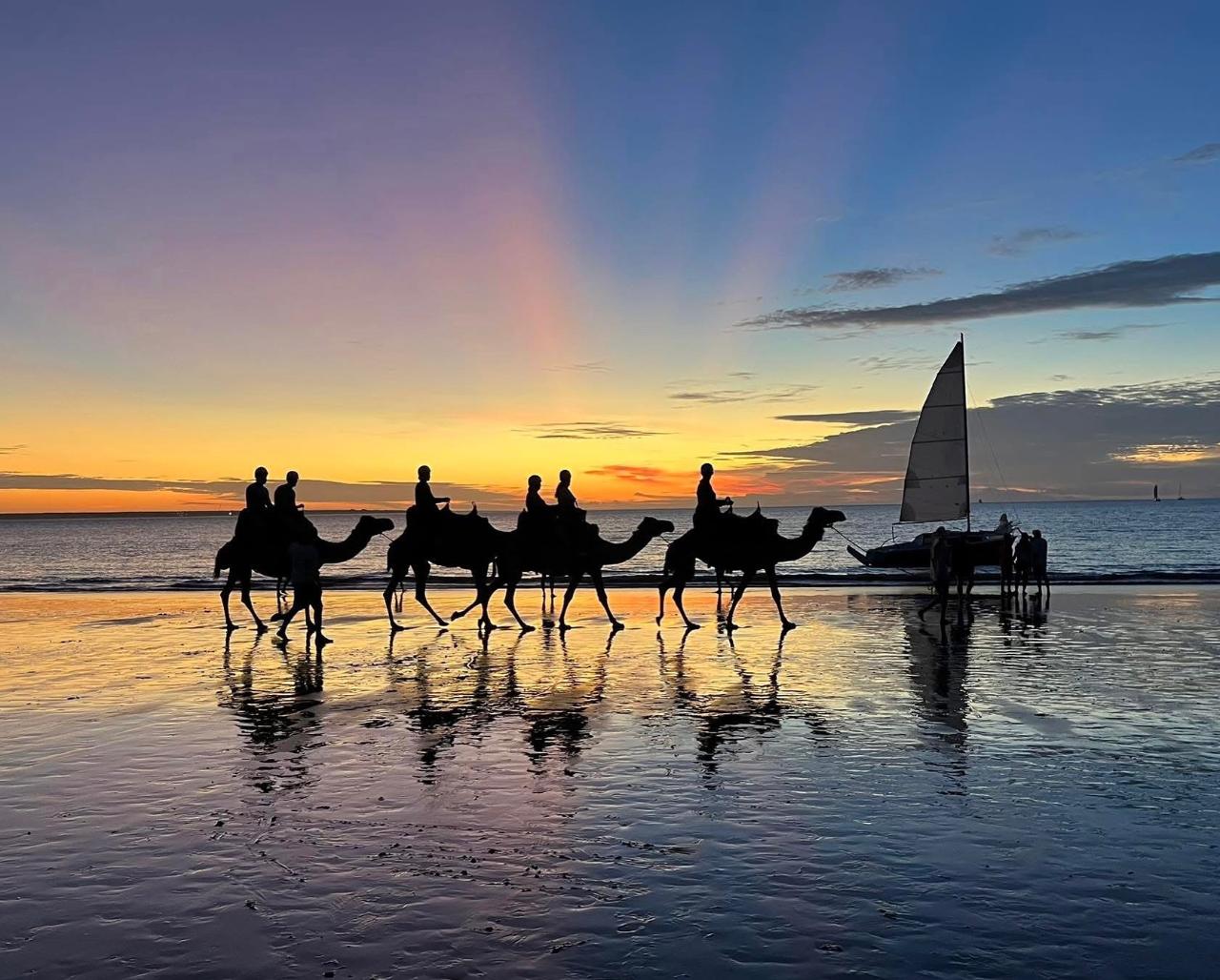 Sunset Camel Ride