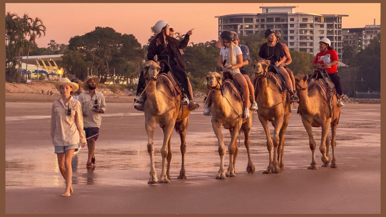 Darwin Camel Rides | Mindil Market Beach Camel Tours at Mindil Beach