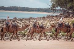 Mindil Market Beach Ride (Thursdays & Sundays) 