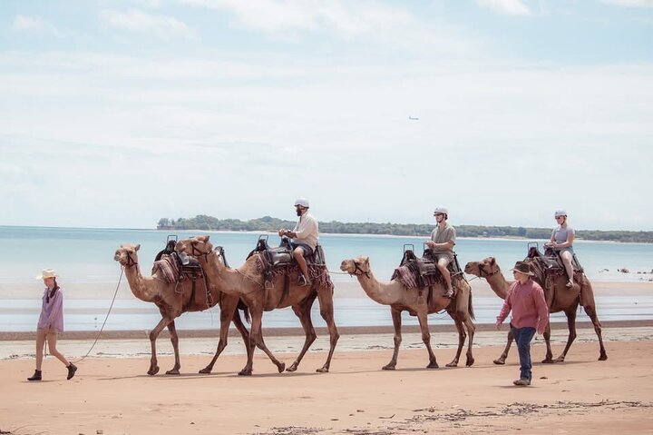 Beach Camel Ride