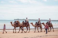 Beach Camel Ride
