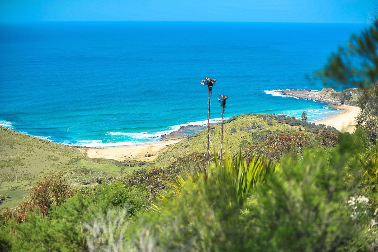 The Royal Tour - Royal National Park Private Full Day Tour