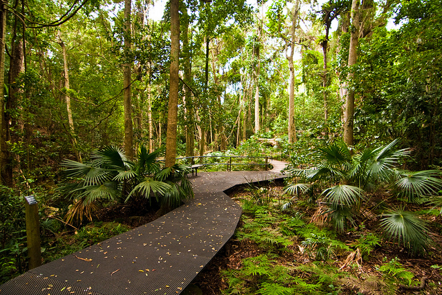 The Royal Tour - Royal National Park Private Full Day Tour