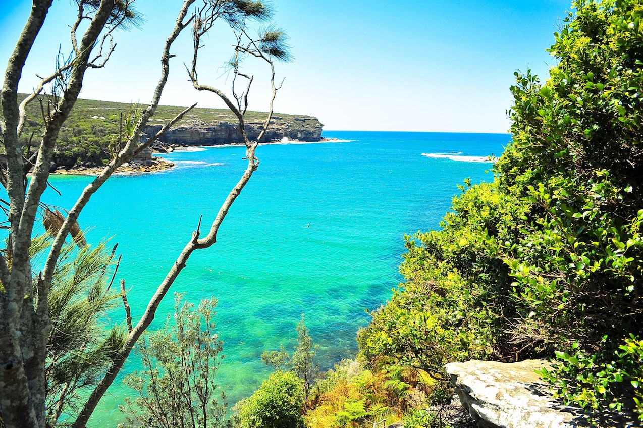 The Royal Tour - Royal National Park Private Full Day Tour