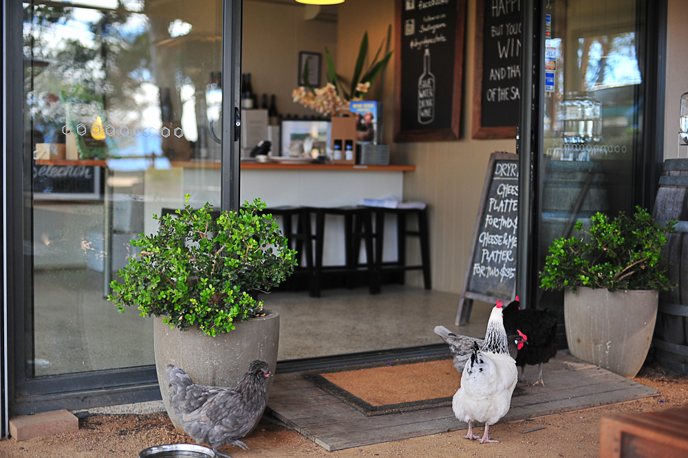 Blue Mountains Private Tour with Winery Visit and Tasting