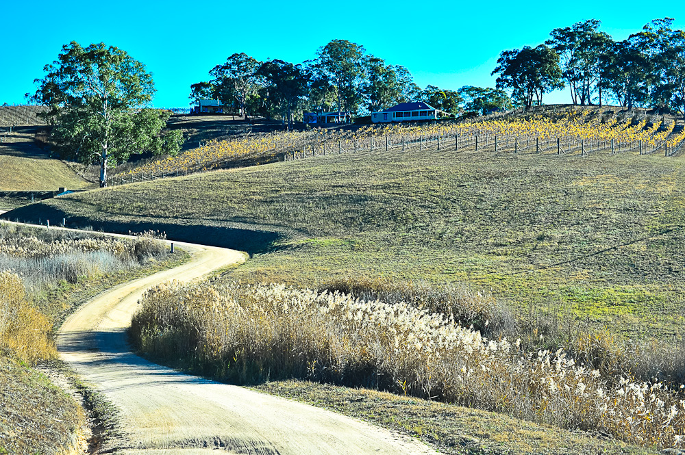 Blue Mountains Private Tour with Winery Visit and Tasting