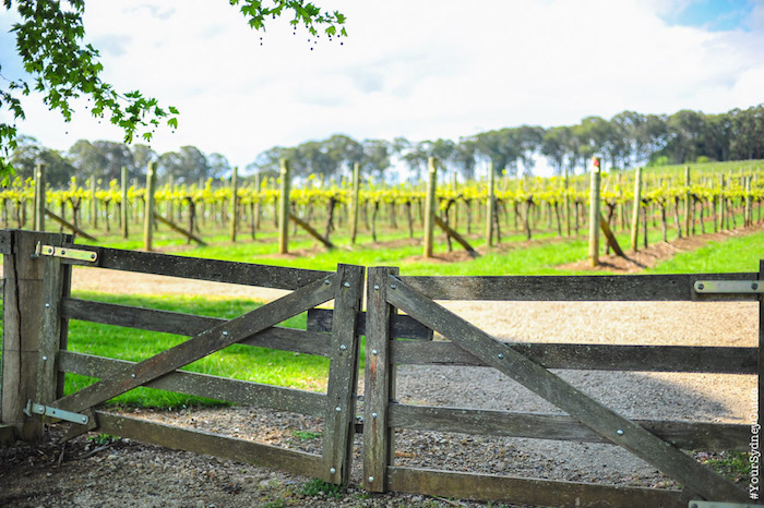 Southern Highlands Private Full Day Tour