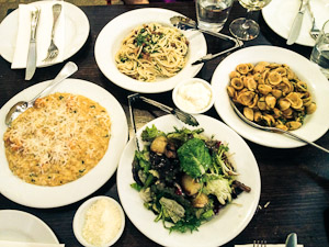 Sydney City Half Day Private Tour