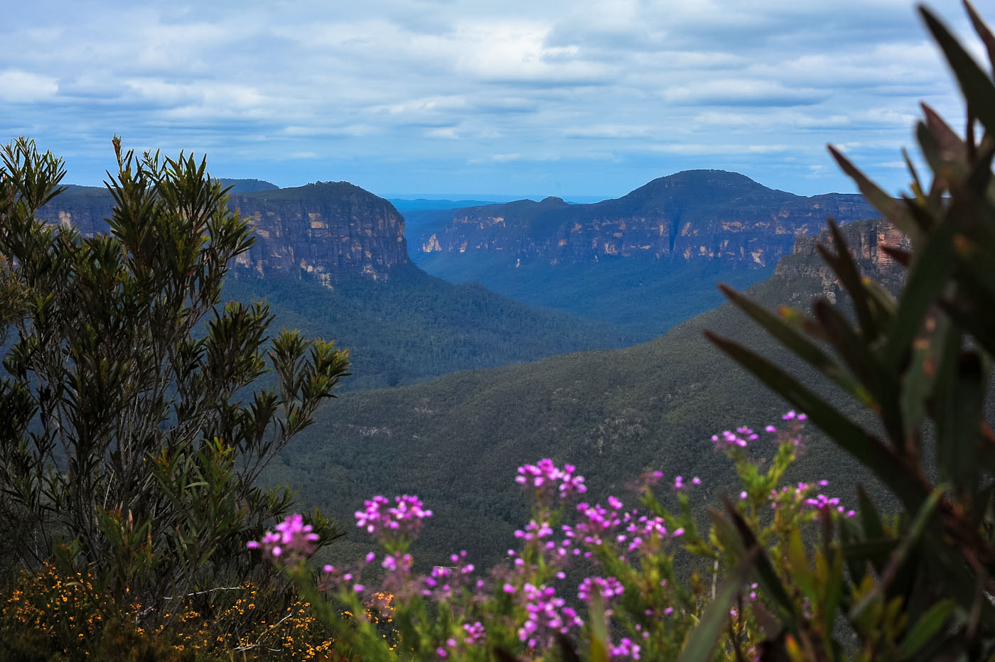 Blue Mountains Private Tour with Winery Visit and Tasting