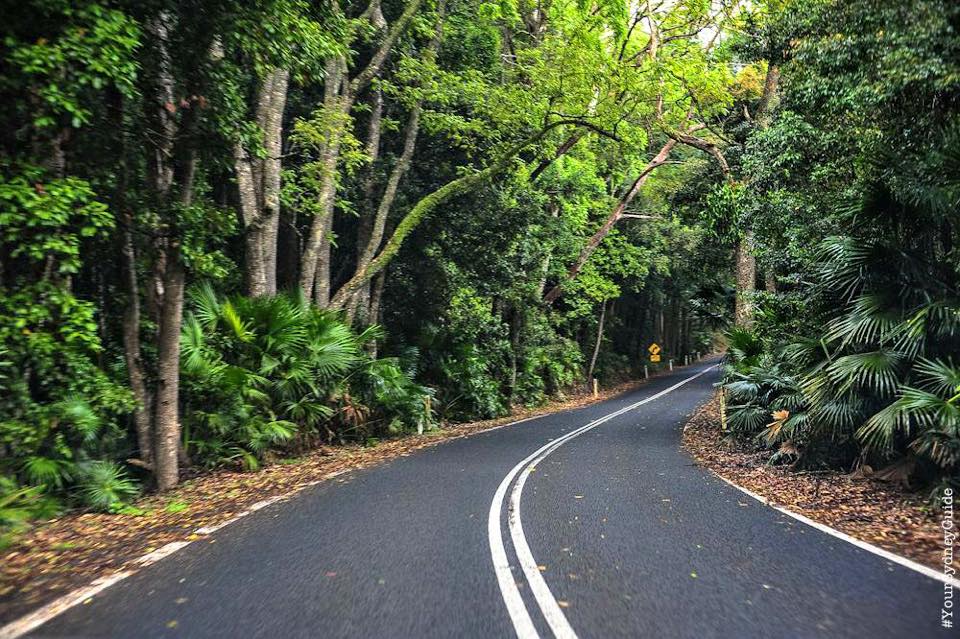 The Royal Tour - Royal National Park Private Full Day Tour