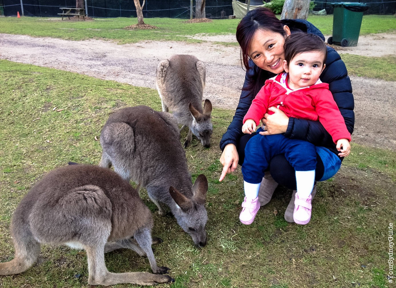 The Royal Tour - Royal National Park Private Full Day Tour
