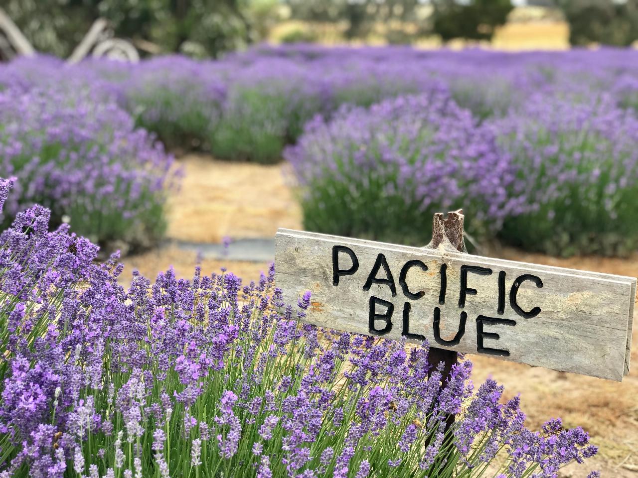 Kangaroo Island - Half Day Tasting Tour