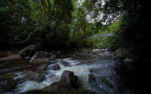 Transfer to Mossman Gorge (transfer only)return to Port Douglas accommodation departs Mossman Gorge Centre at 12.30pm
