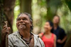 Ngadiku Dreamtime Gorge Walk (NDGW10)