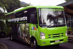  8:50AM Port Douglas to Mossman Gorge Return Transfer Service