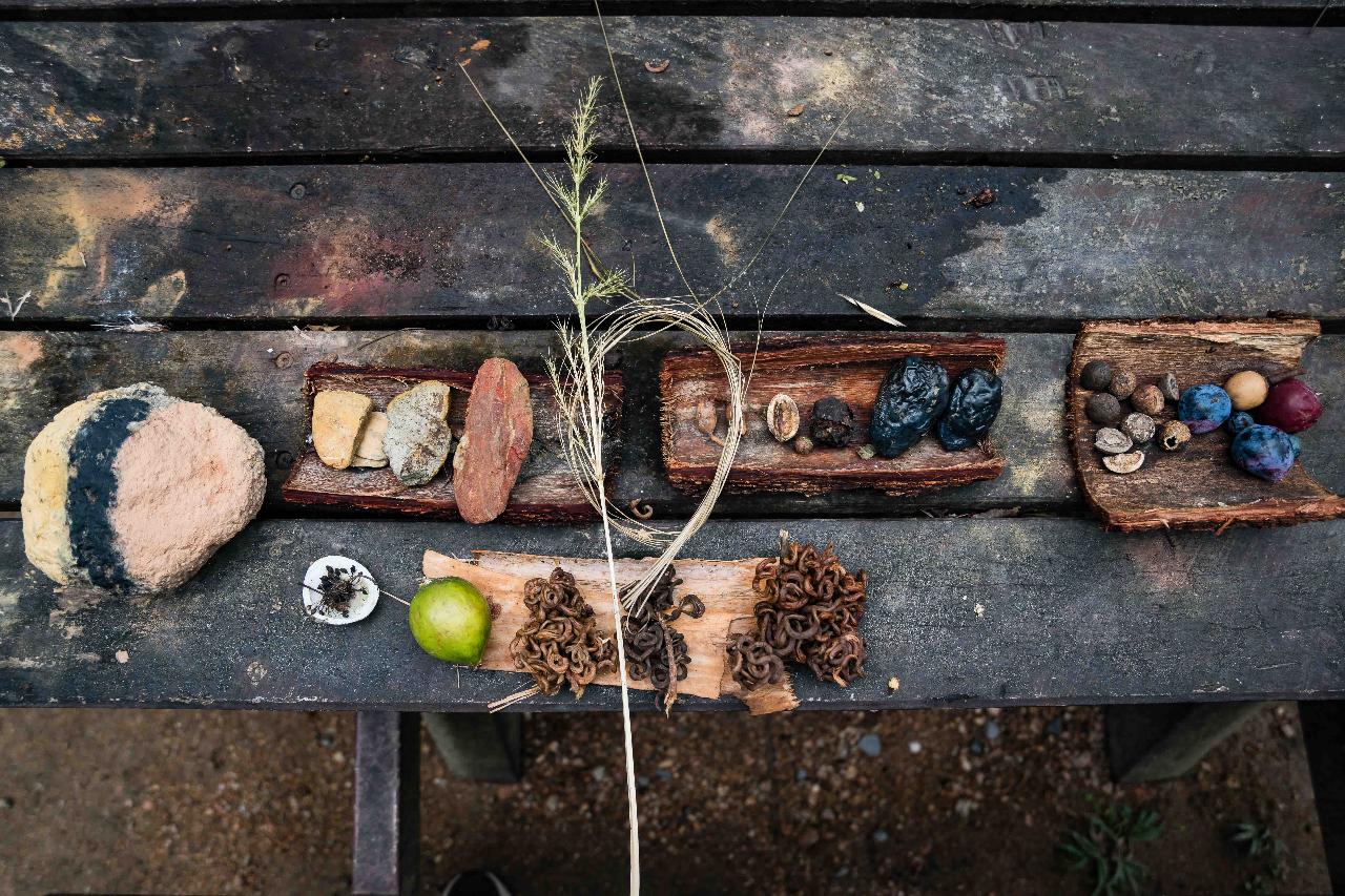 Ngana Mayi Bubu Cultural Experience