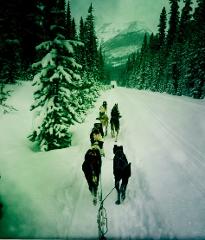 Narnia Tour