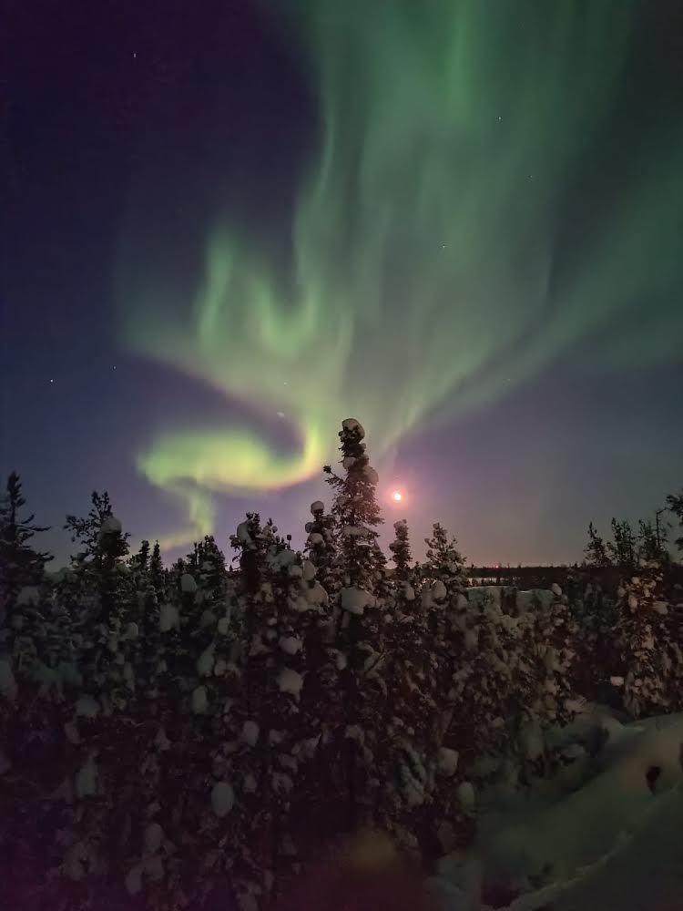 Skydome Aurora Viewing