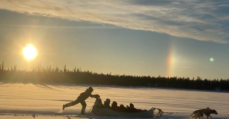 Traditional Dog Sledding