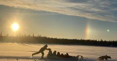 Traditional Dog Sledding