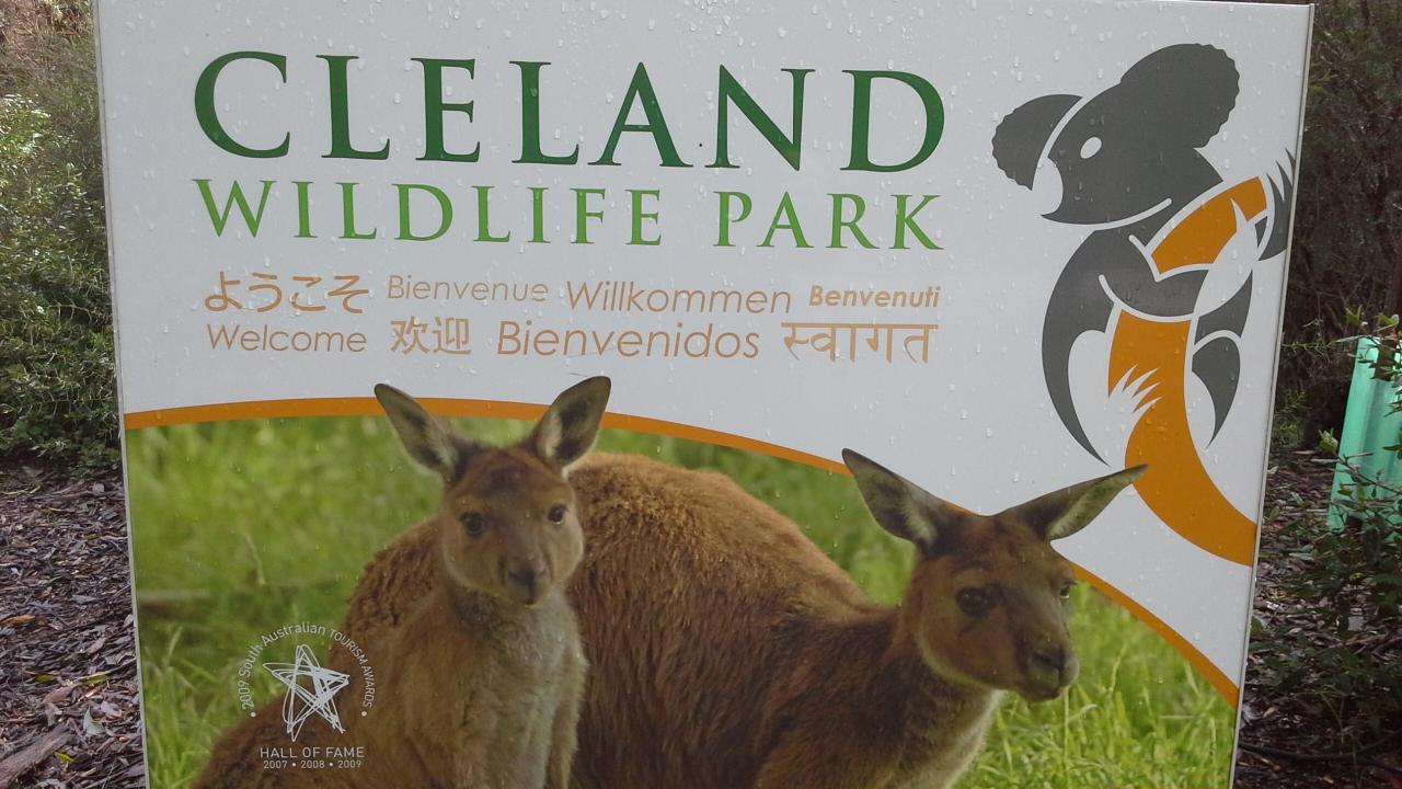 Cleland Wildlife Park, Adelaide Hills & Hahndorf