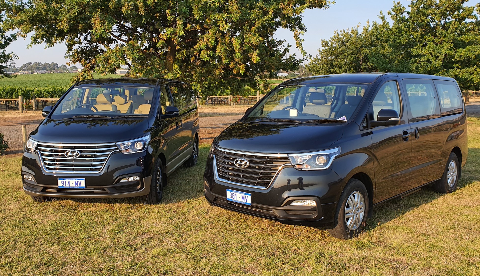 Adelaide Hills / Hahndorf German Village Sightseeing Tour