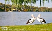 River Murray Lunch Cruise & Hahndorf/Adelaide Hills Tour