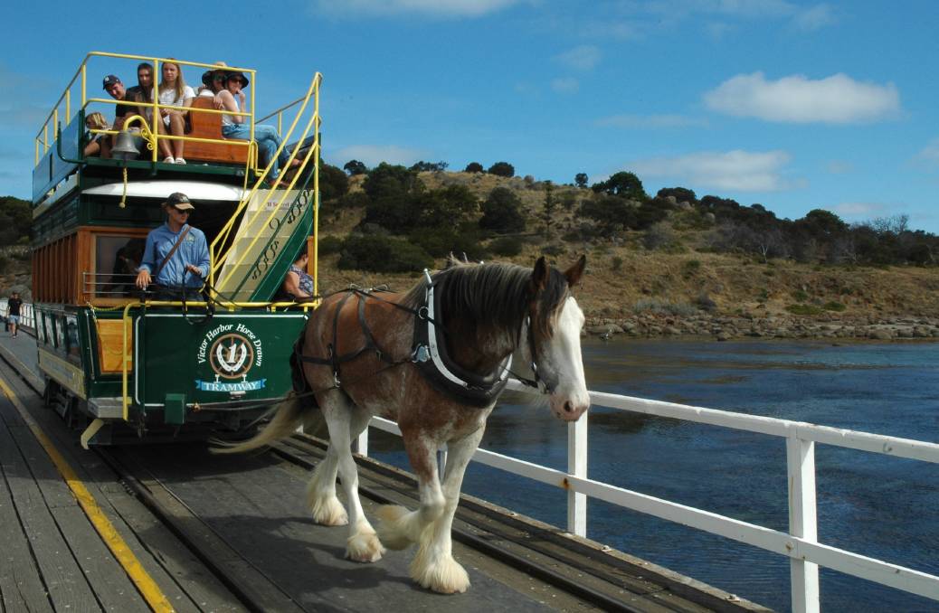 Fleurieu Peninsula / Victor Harbor Sightseeing Tour