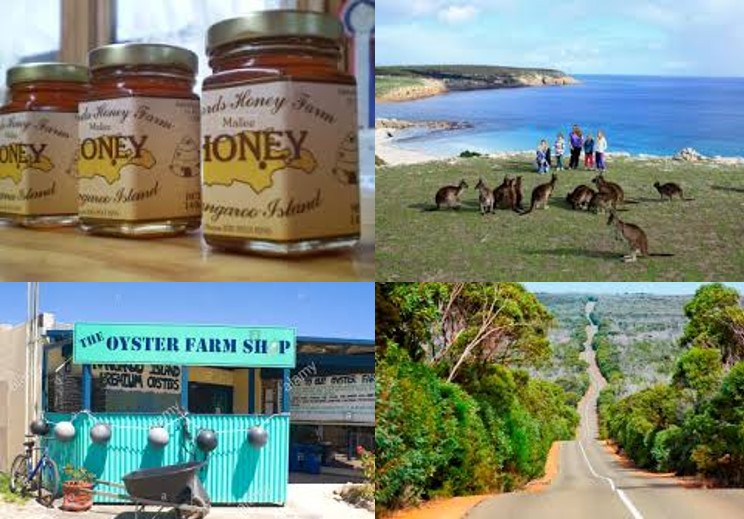 KI Kingscote Discovery Tour - 6 hours (EX Penneshaw) - from $155