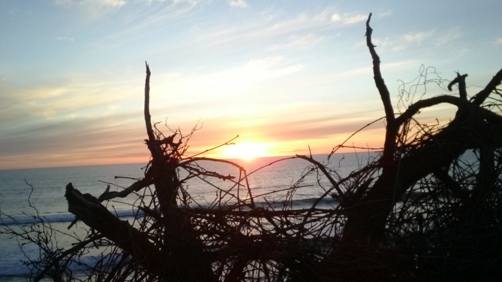 Gourmet Food and Wine Tour Sunset - McLaren Vale