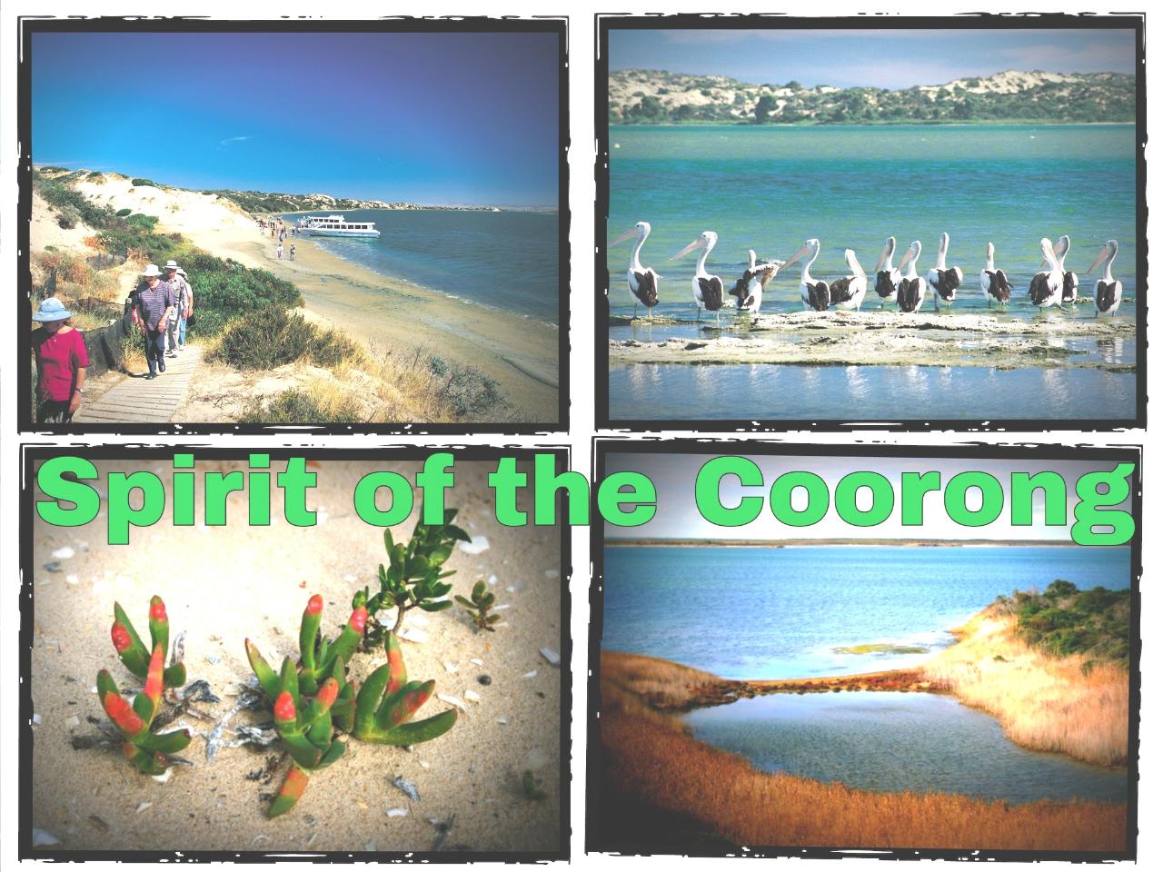 Coorong River Murray Mouth Cruise Transfer & Tour