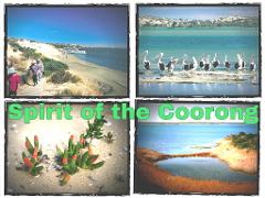 Coorong River Murray Mouth Cruise & Tour