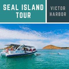 Big Duck Seal Island Adventure Cruise & Victor Harbor Tour