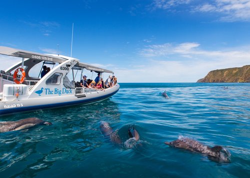 Big Duck Southern Ocean Adventure Cruise & Victor Harbor Tour