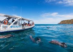 Big Duck Southern Ocean Adventure Cruise & Victor Harbor Tour