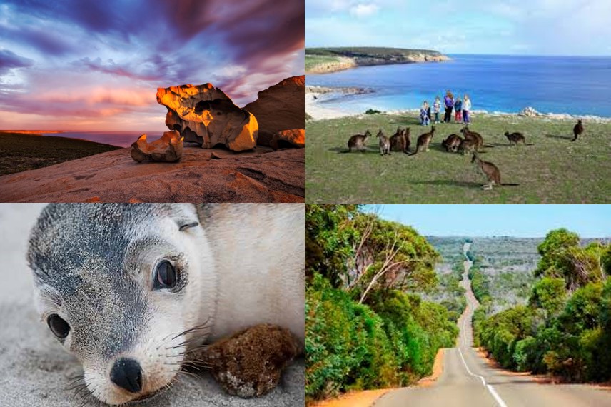 #13 Kangaroo Island Explorer Tour - Full Day (EX Penneshaw) - from $179