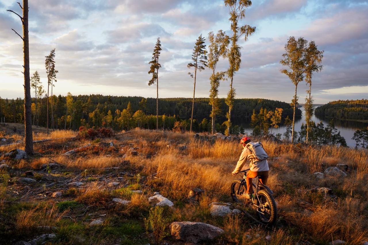 Fatbike Forest Adventure with Lunch and Sauna