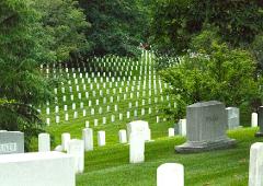 Arlington Cemetery Walking Tour with Changing of the Guards & Tomb of the Unknown Soldier (2pm)