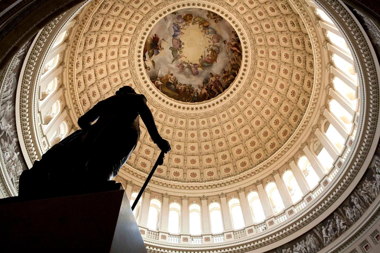 Capitol Hill Walking Tour with U.S. Capitol & Library of Congress Entry (2pm)