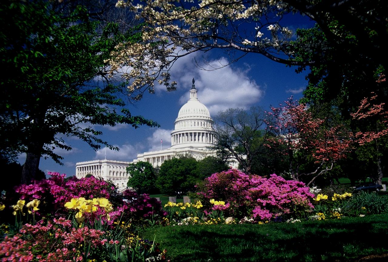 DCG - Capitol Hill 11:30am Walking Tour with US Capitol and Library of Congress
