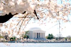 Morning National Mall Tour with Stops at 10 Top Monuments & Memorials