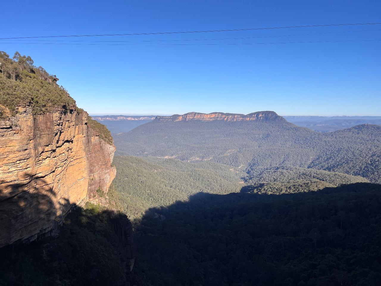 Australian Flora and Fauna Day Tour in the Blue Mountains