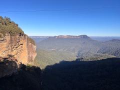 Australian Flora and Fauna Day Tour in the Blue Mountains