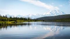 Pick Up from Denali Park 