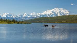 Drop off to Denali Park